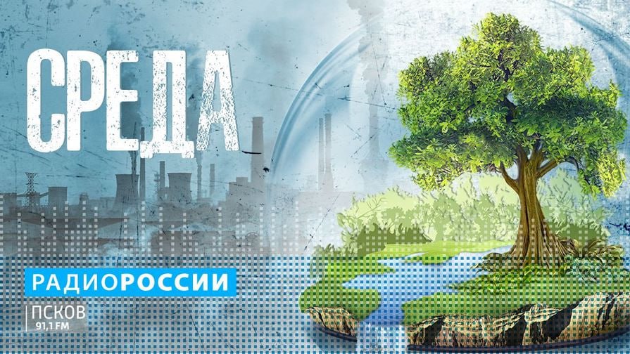 Новый выпуск эколого-познавательной программы "Среда" на "Радио России-Псков" слушайте сегодня, 17 декабря