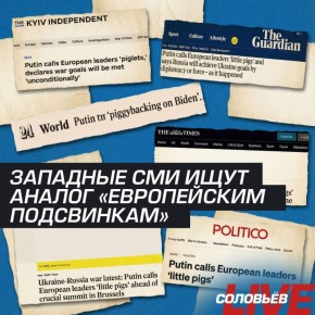 �European pigs�, �little pigs�, �piglets� � � �� ����