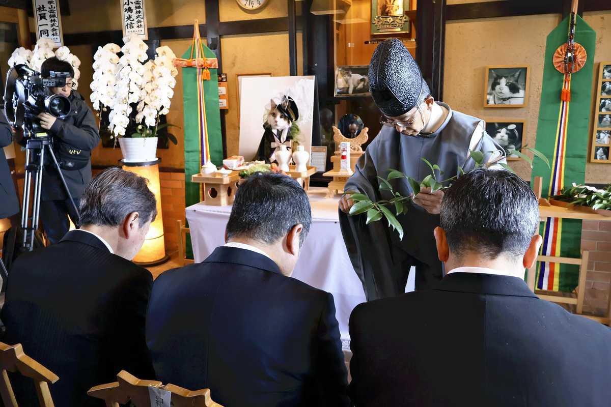 Более 500 человек пришли на похороны 15-летней кошки Нитамы, которая «работала» станционным смотрителем на вокзале японского города Кинокава Более 500 человек пришли на похороны 15-летней кошки Нитамы, которая «работала» станционным смотрителем на вокзале японского города Кинокава