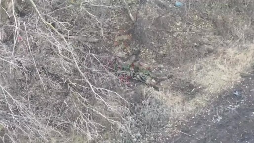 ������ ���������� FPV ����������� "�����" �� ������ ����������, ������� ������� �������� ����� ��������