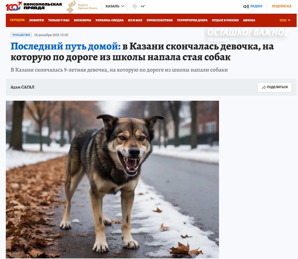 В Татарстане девятилетняя девочка умерла после нападения стаи собак