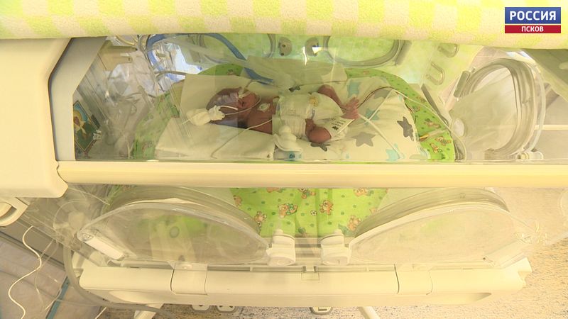 Благотворительная акция "Коробочка доброты" проходит в Пскове