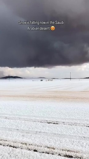 ����� ���������� ������ ���������� ������ ����