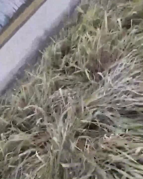 Слепая многодетная мать из Башкирии вынуждена водить детей в школу и в сад по бездорожью — в ее селе живут 10 тыс человек, и страдают все