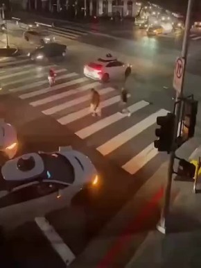 � ���-���������, ������� ������� ��� ����� ��-�� ������ �� ����������, ������������ �������: ����������� ����������� ������ ������ ������� ���� � �������������� ������ �� ����� ������