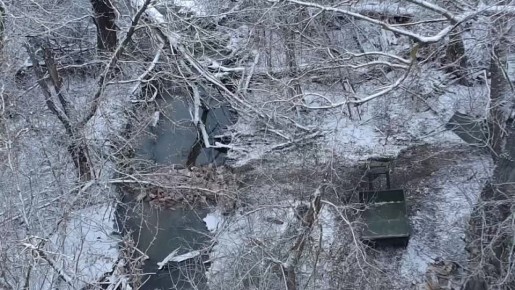 ������ ����������� �������� �� ��������� ��������� ��� ������