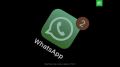 WhatsApp* ���������� �������� ���������� ����������������, ������� ������������ ���������� ��������� ����, � �� ������, ���� ���������� ��� � �� ����� ��������� ������������, �� �� ����� ��������� �������������