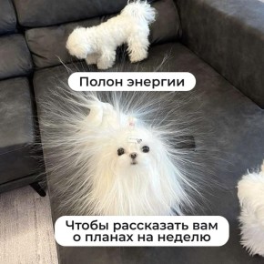 � ���� ���������� �� ����������� ����, ��� ����� ��� ���� � �����, � ��� � ���������� �������� �� ��������� ������� ������