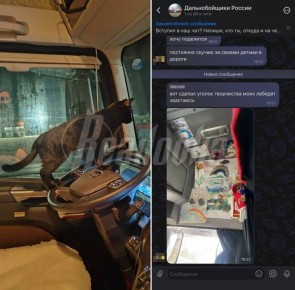 � �������������� �������� ���� ��� � MAX � ��� �������� ������������ ������������ ������