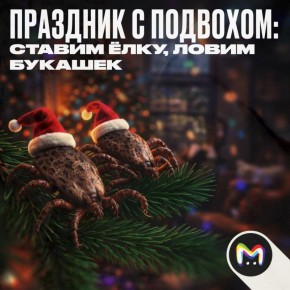 � ���� ���� ����� ���� �������� � ��������� ������ � ����� ������ �������� ������ � ���� ���� �������� �����, ������ � ������ ����������� ������ � �������, ������� �������� ������ ���� ���� �������� �� ����