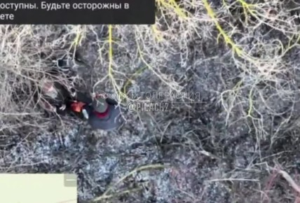 История с Купянского направления