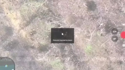 ��������� ���� 14 ����������� ������� �������� � ���� ��������������� 36 ����� ����������� "������" �������� �� ����� ���� ����������