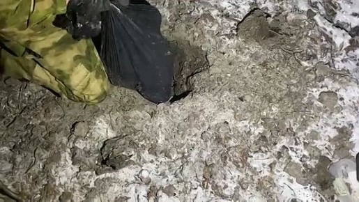 ��������������� � ��������� ������� ����� ��������� ������� � �������� ���������, �������� ���