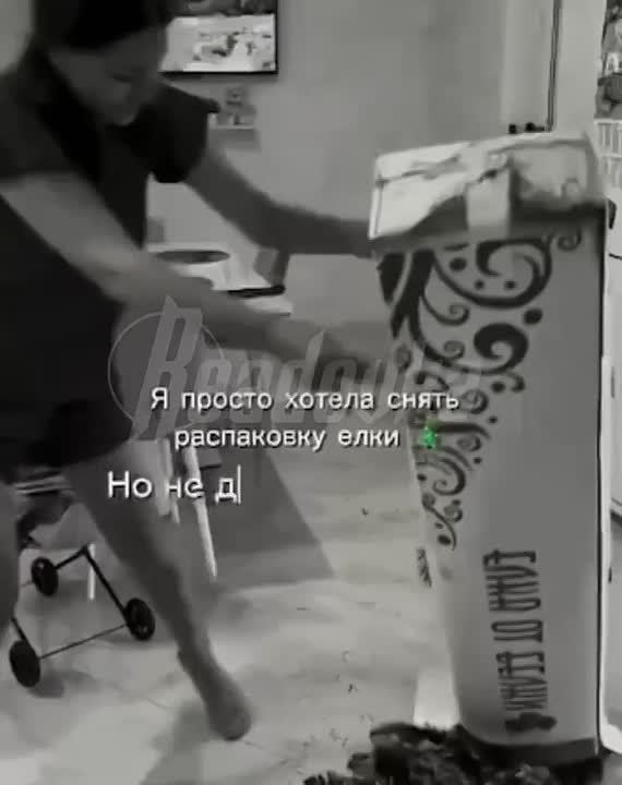 Елка с сюрпризом: грызуны выпрыгнули из коробки и напугали покупательницу