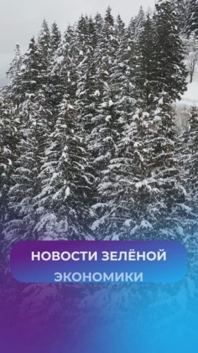 ����������� �� ������, �� �� ������ ���������, �� � ������� ����� � �������