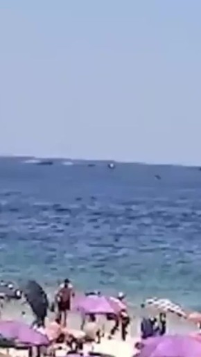 � ���-��-������� �������, ������� ��� ��������� ������, ������ � ����� �������� �� �����