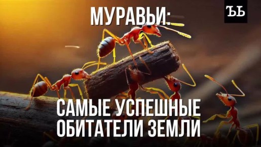 ������� ����� ����������� �� ���� �����