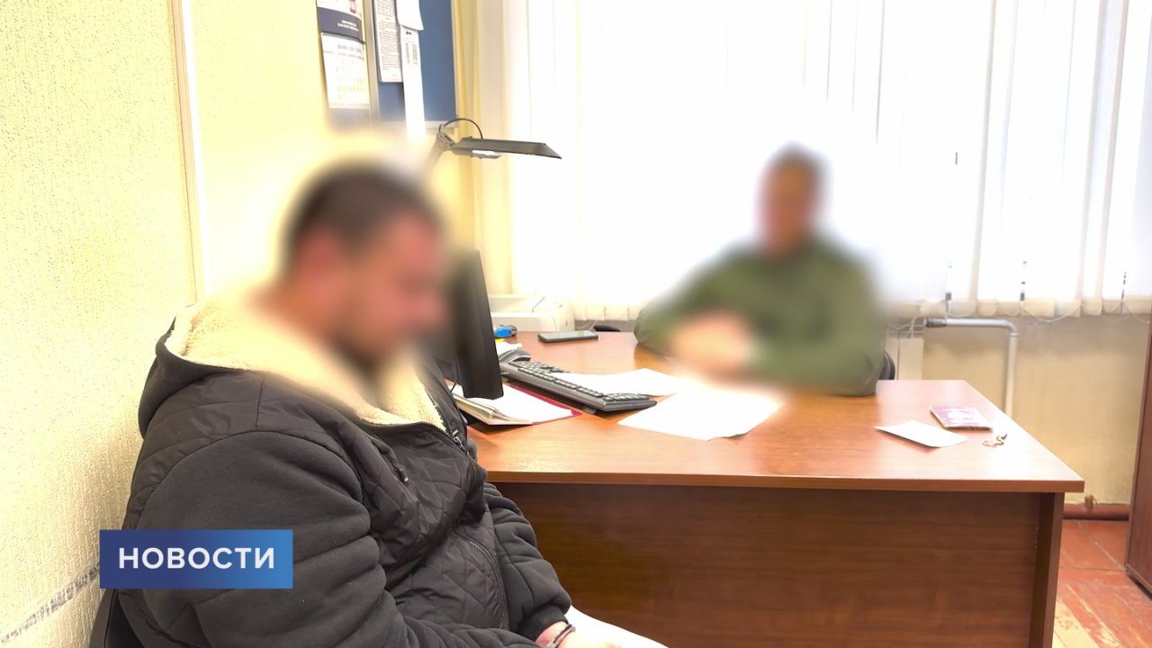 Любимая женщина, собака, дом