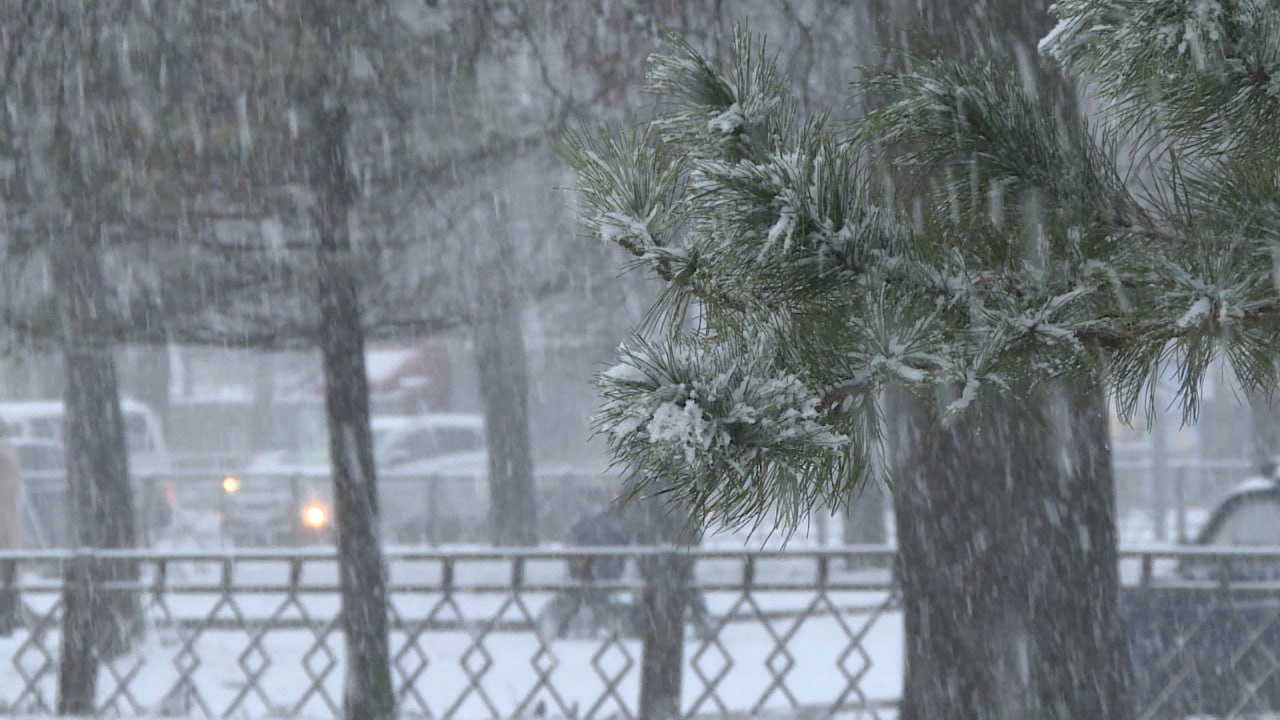 В первые дни нового года в некоторых районах Псковской области, по прогнозам синоптиков, температура может опуститься до -15...-18 градусов