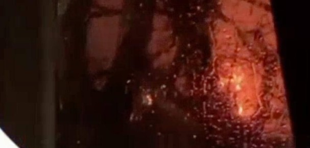 � ������ ����� ����� ���� ���������� ������� ����� � �������� ������