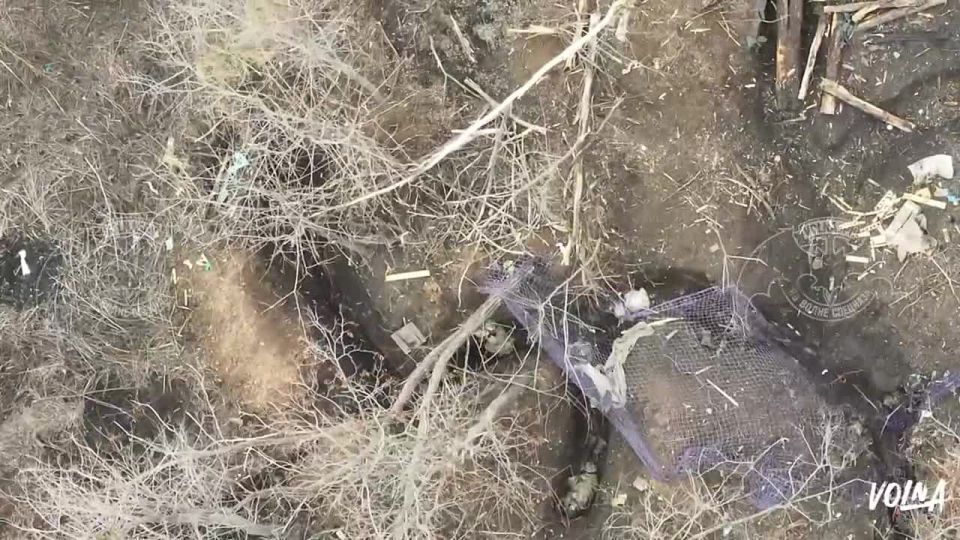 Наш клип — это голос души. Посмотрите его целиком: в каждом слове и кадре — смысл