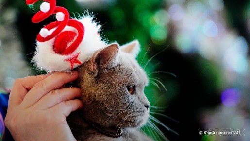 ������ �� ���� ����� ����� ������� ��� �����