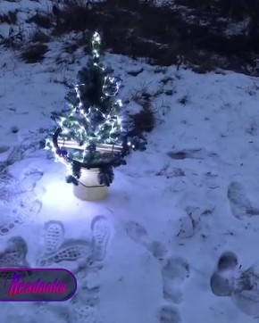 Русские воины показали, как отметили Новый год на фронте с елкой-коптером и за дружным столом