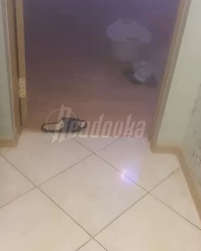 ������ ����� � ��������� � ���������� ���� ������� �������� � 8 �� 1 ����