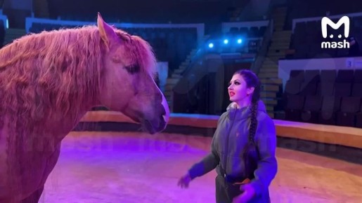 Единственный в России конь-художник устроил перформанс в честь Нового года — он нарисовал Mash и админов