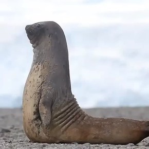 1 января может быть только два состояния