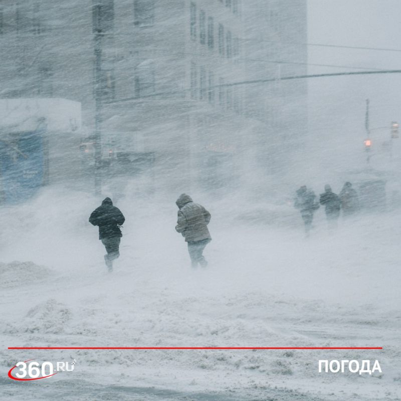 Метель и порывистый ветер ожидаются в Москве и области в эту пятницу