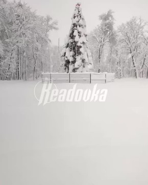 ����� 40 ��� ������� �������� ��� ����� � ������������� ���� ����� �������� ����������