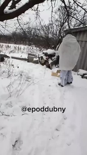 Последствия флаготыка в Красноармейске