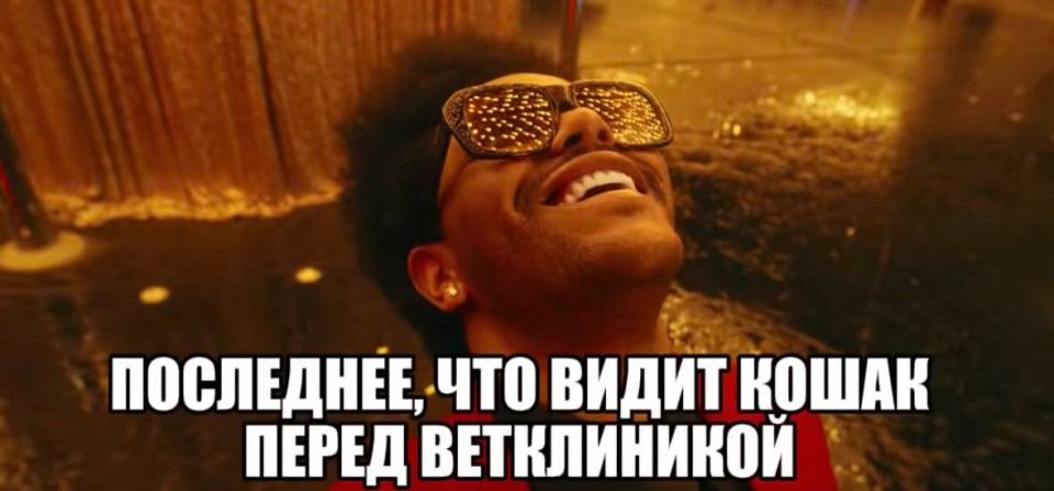 ����������� ���� ���������� ������ �� ������ ������� �� 100% � ���������� ���������