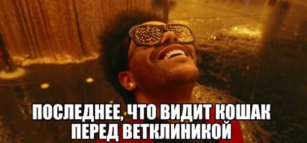 ����������� ���� ���������� ������ �� ������ ������� �� 100% � ���������� ���������