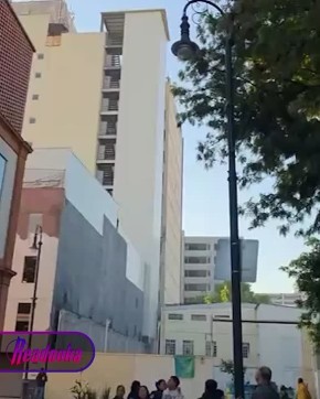 ������� ������������� ��������� ������� � ������� ������� ������ 6,5 �����