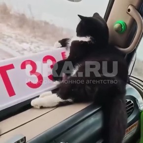 ��� ���������� ���� ������� ��������� ��������