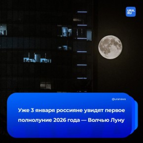 ������ ���� �������� � ���� ��� �������