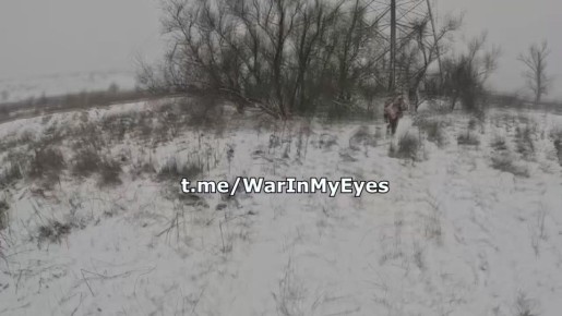 ���������� ������ ���������� ���� �� ���������� ������ ������ �� ��������������� �����������