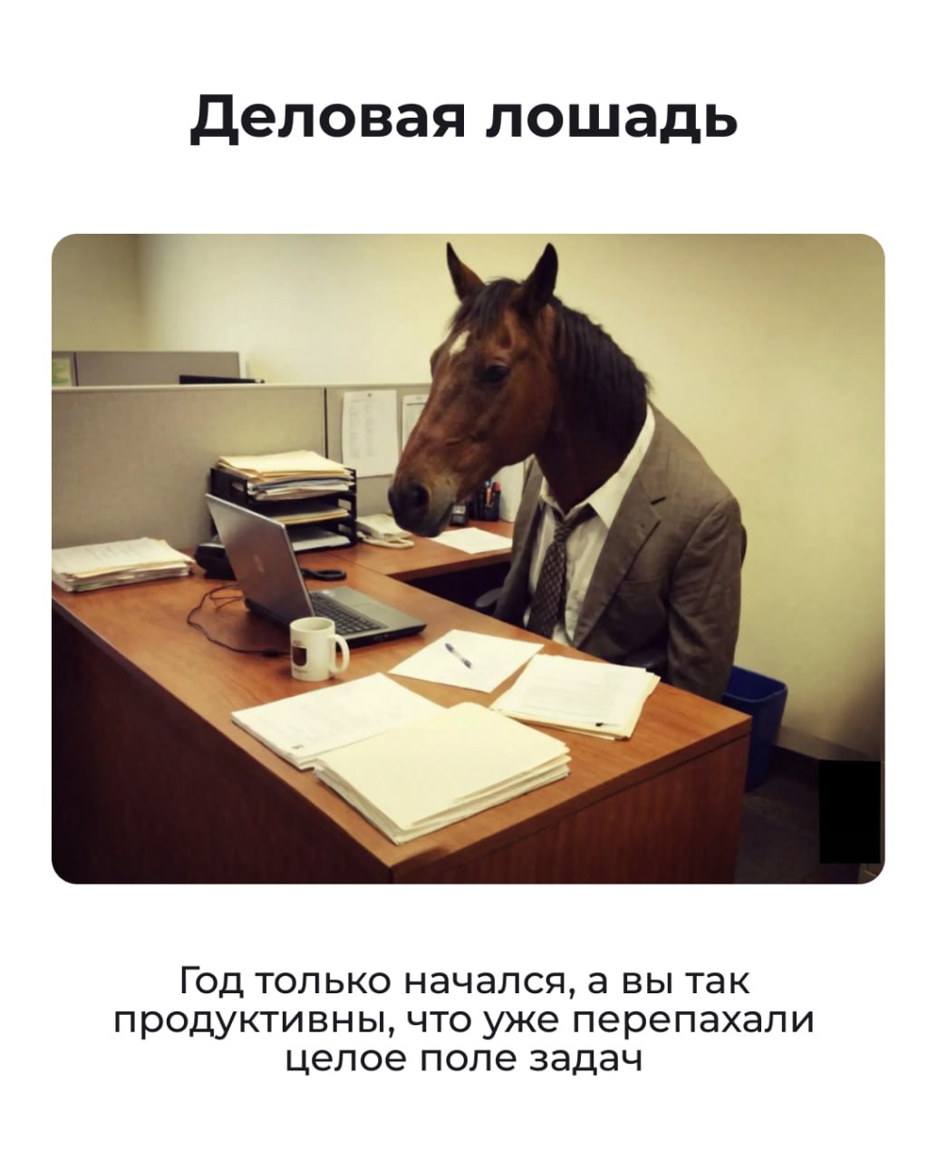 Состояние на начало 2026 года — Лошадь