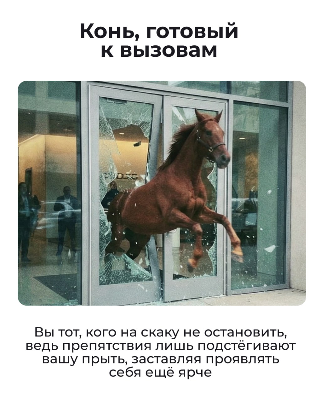 Состояние на начало 2026 года — Лошадь Состояние на начало 2026 года — Лошадь