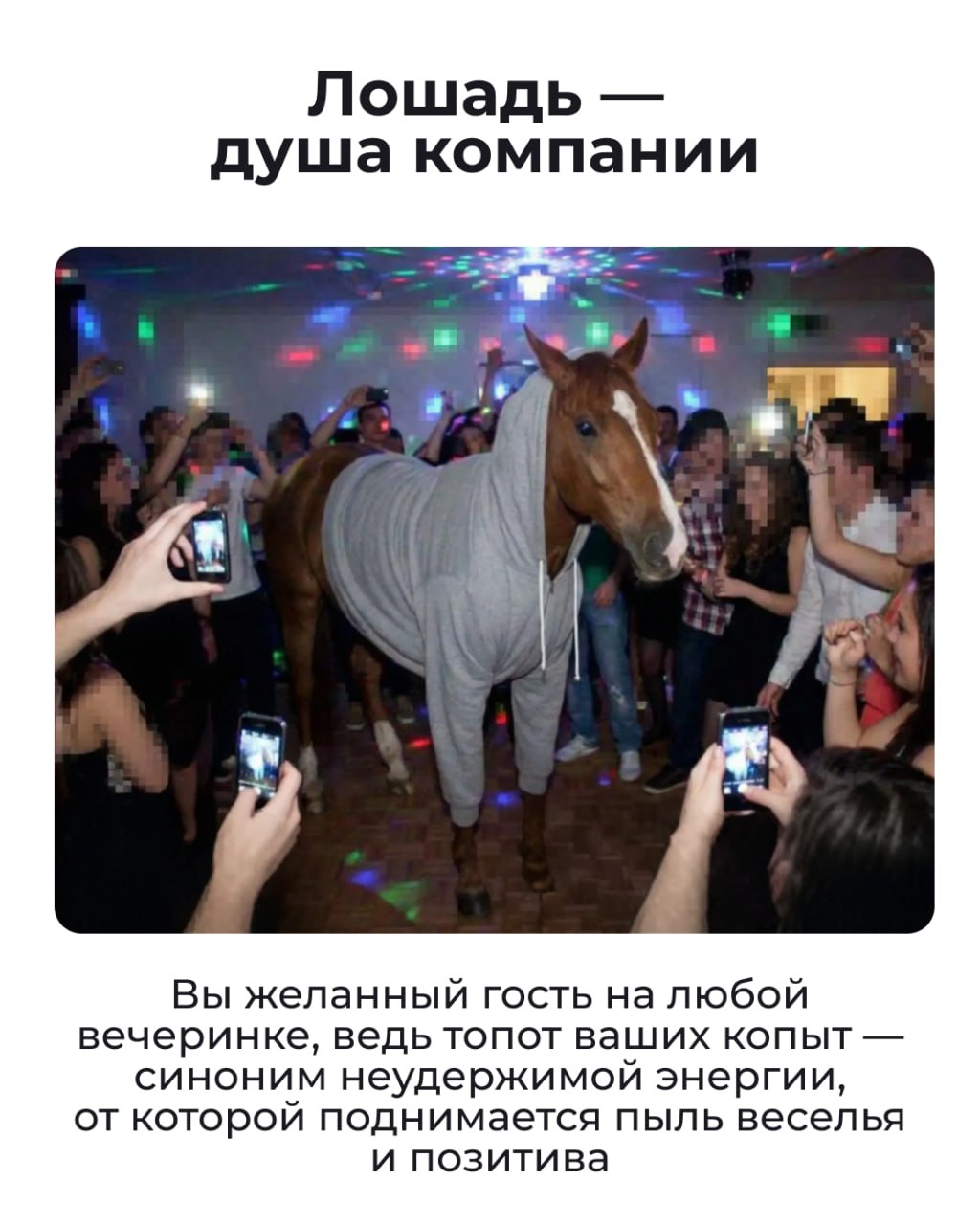 Состояние на начало 2026 года — Лошадь Состояние на начало 2026 года — Лошадь