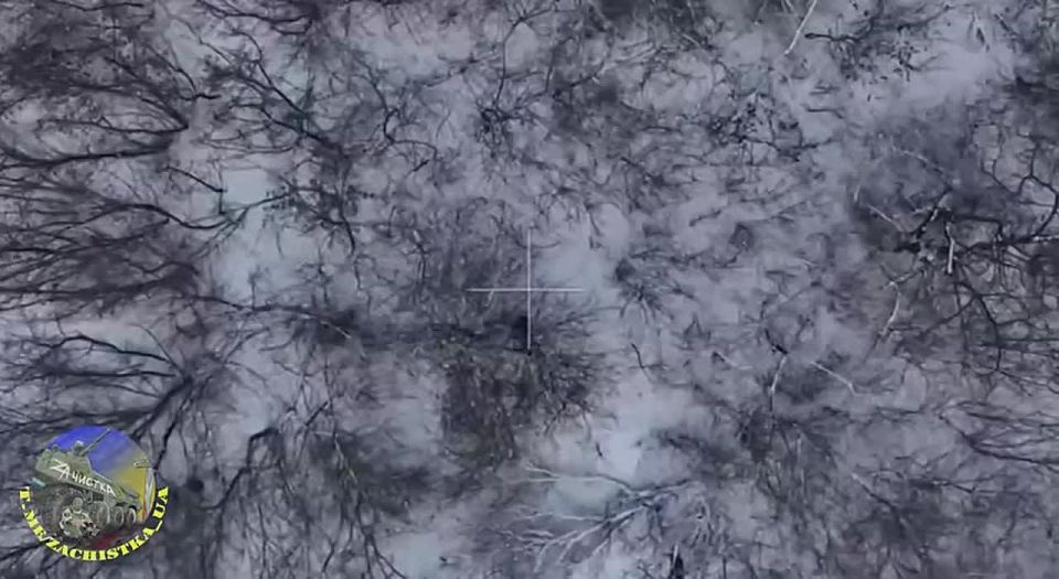 ���� ��������� ������ ���������� ������������ ����� ������ �� �������� ���������� ����� �� �������!