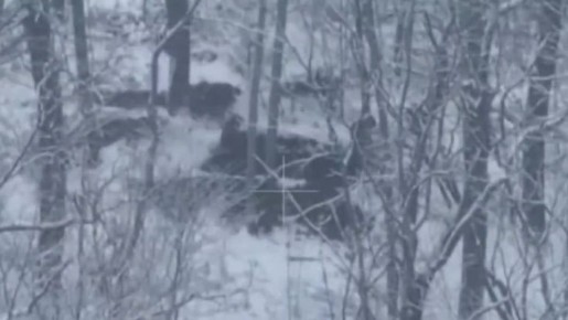 ������� ���������: ������, ��� � ���-������� �� �������� ������� ��� �������� ���������� ���������� ���