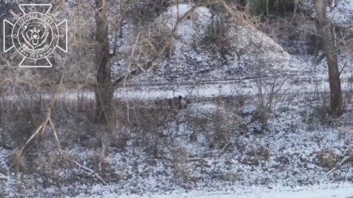 Северяне вычислили и уничтожили позиции вражеского ПУ БпЛА