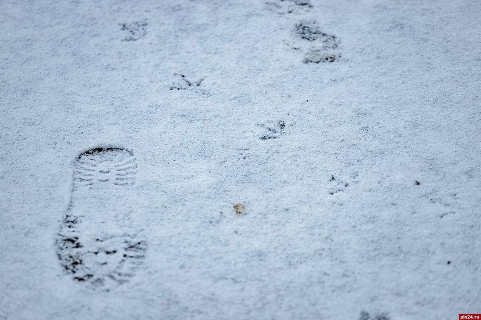 �� -13 �������� ������������ � ��������� ������� 6 ������