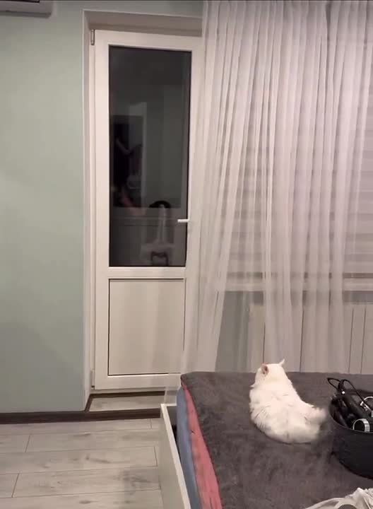 Светлые времена на Украине или азбука Морзе по киевски