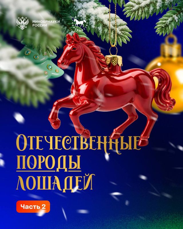 ������ ������. ������ ����� �������� �� ������������� ������� ������� �� ���� ����������� ����� �.�. ����������� � ��������������� ���