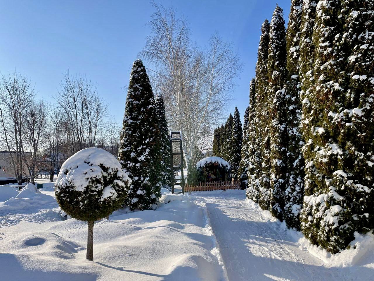 Вячеслав Володин: ВЕЛИКИЙ ПРАЗДНИК. Осталось несколько часов до Рождества Христова Вячеслав Володин: ВЕЛИКИЙ ПРАЗДНИК. Осталось несколько часов до Рождества Христова