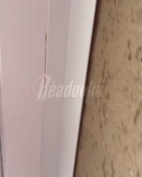 � ��� ������ �������� ��������� ��� ������ � ������ ����� ����, ��� ������ ��� � �������� ������ �� ���� ����